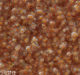 海藻面膜能加蜂蜜嗎？蜂蜜和海藻做面膜好嗎？