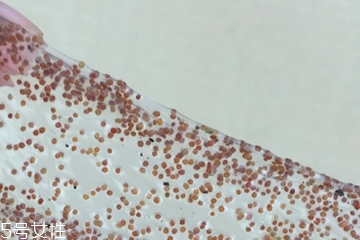 海藻面膜可以加維生素e嗎？海藻加維生素e可以用嗎？