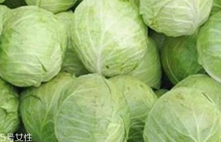牛心菜是寒性還是熱性？牛心菜是寒性的嗎？
