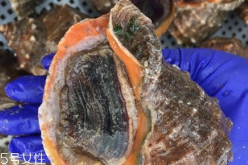 海螺開水還是冷水下鍋？海螺冷水還是熱水煮？