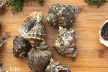 海螺會中毒嗎？吃海螺中毒多久會緩解？