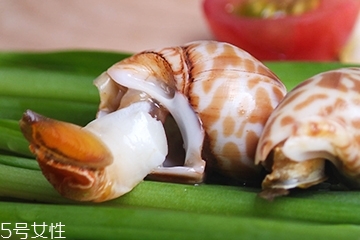 海螺能和西瓜一起吃嗎？海螺和西瓜能同食嗎？