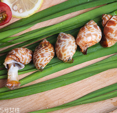 海螺能和西瓜一起吃嗎？海螺和西瓜能同食嗎？