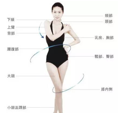 溶脂針和瘦臉針哪個貴 溶脂針和瘦臉針區別