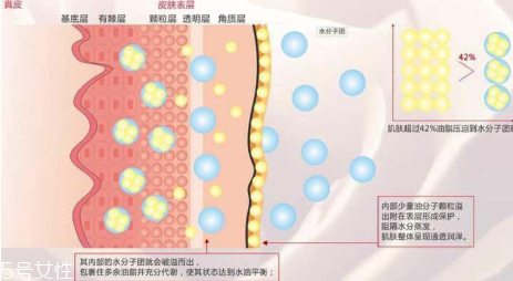 頑固痘痘怎么消除？油皮為什么反復(fù)爆痘？
