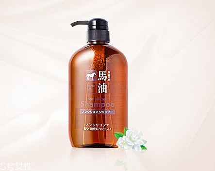 馬油洗發(fā)水是哪里產(chǎn)的？馬油洗發(fā)水是哪國(guó)的？