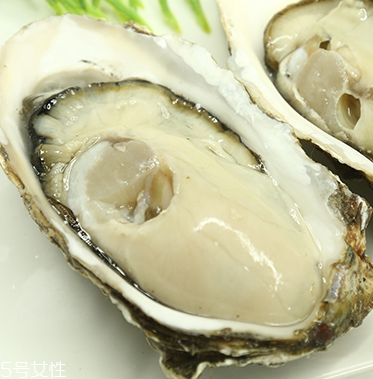 生蠔是蒸還是煮？生蠔蒸好吃還是煮好吃？