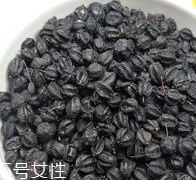 刺五加怎么吃？刺五加有什么用？