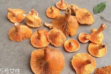 松蘑怎么泡發才會更干凈