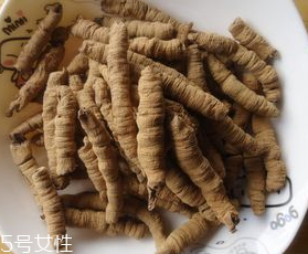 巴戟天的營養價值 提升免疫力