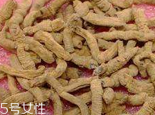 巴戟天和巴戟的區別 同一物種