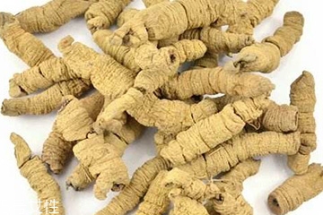 巴戟天能經常吃嗎 偶爾吃效果更佳