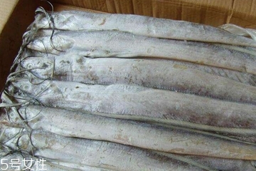 帶魚能養殖嗎 一般情況下不能