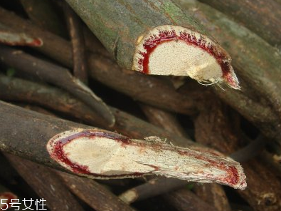雞血藤的營養價值 價值高效