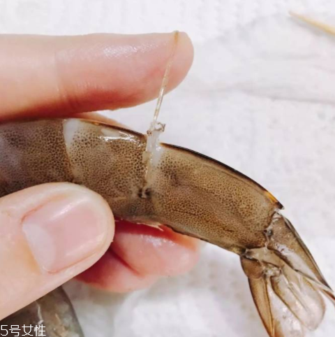 基圍蝦好熟嗎 熟的非常快