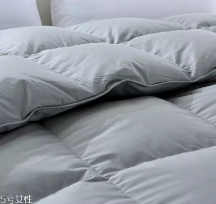 羽絨被發霉了怎么辦 教你去除霉斑