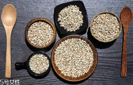 薏仁怎么吃 這樣做好吃有營養