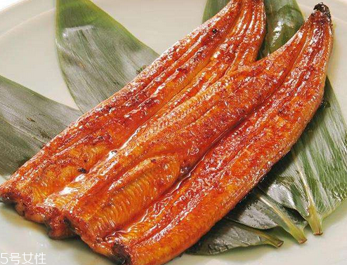 鰻魚為什么那么貴 因為營養價值高