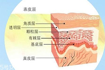油皮敏感肌怎么去角質 手把手教你去角質