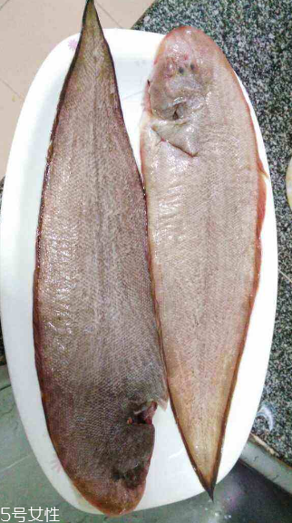 龍利魚可以生吃嗎 需經過處理
