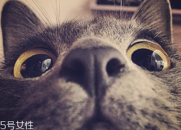 美瞳什么材質的好 各有各的優點