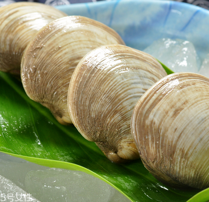 花甲為什么有沙 生活環境使然