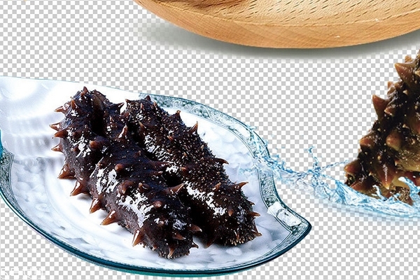 海參為什么越煮越硬 泡發方法不對