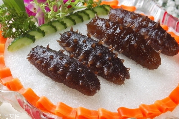 海參哪里的好 北方海參質量更好