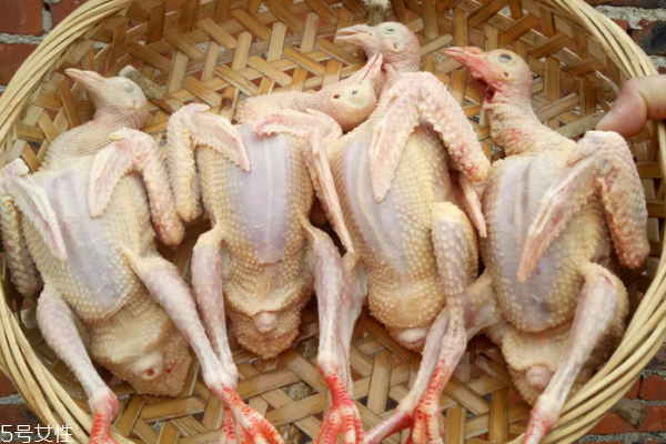 鴿子肉能壯陽嗎 中醫(yī)上有這個(gè)說法