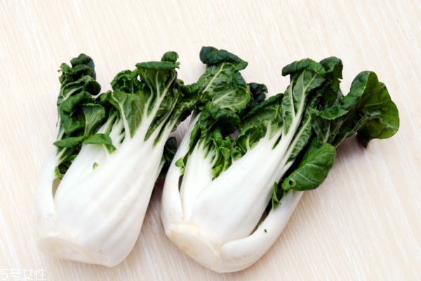 小白菜是發物嗎 不是發物類別
