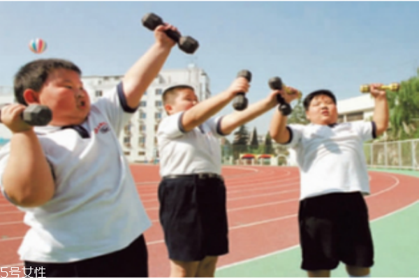 應該注意小孩脂肪和膽固醇的攝取量嗎？
