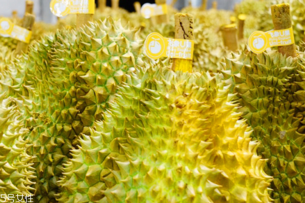 榴蓮是一年四季都有嗎 每個季節都能吃到