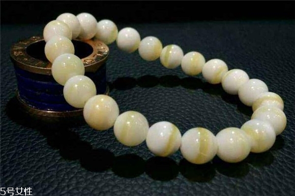 金絲硨磲是什么材質 一種漂亮的貝類