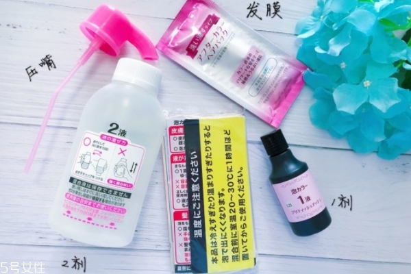 花王泡沫染發劑英國灰咖染發效果 氣質女王的發色