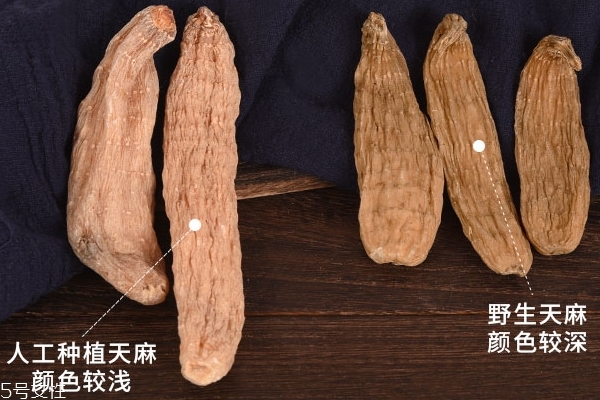 天麻怎么選 3招選到好品質