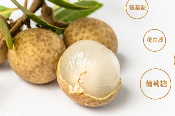 龍眼為什么會發霉 有可能是蟲害