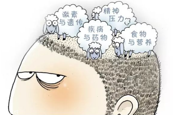 掉發多是什么原因 幫你解決掉發煩惱