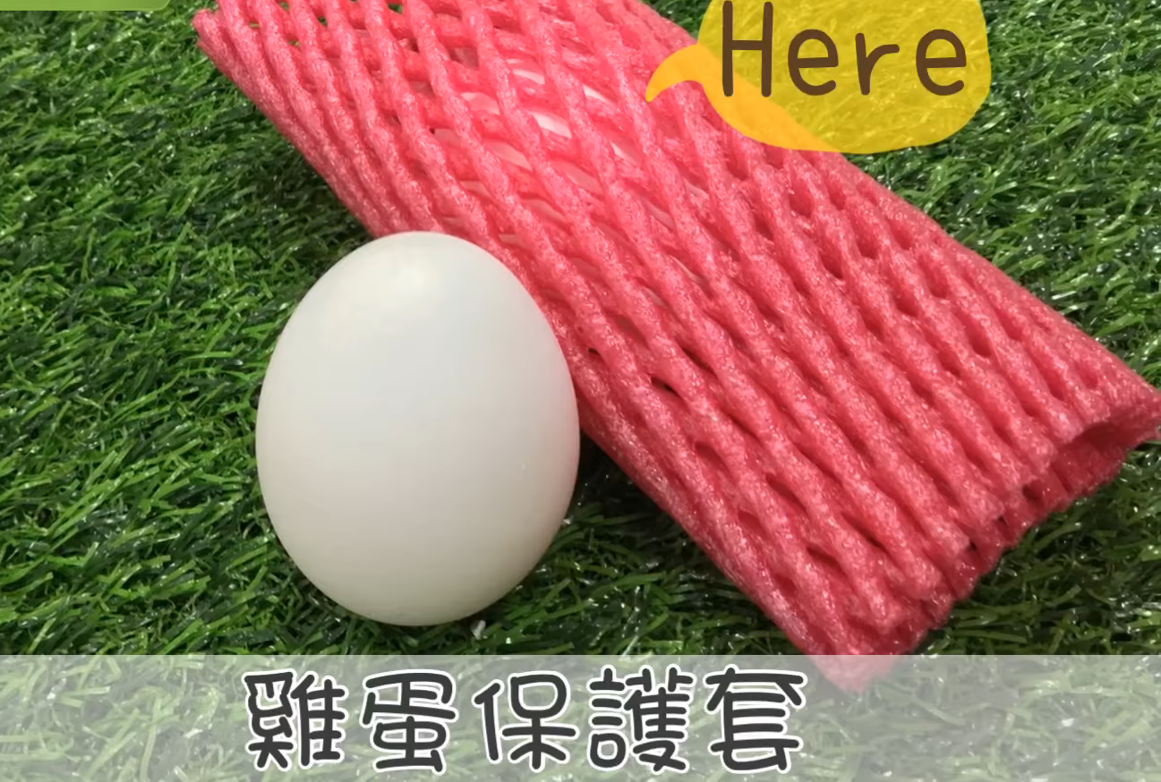 水果泡沫網套的妙用 5大妙用省錢省事