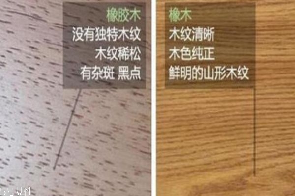 橡木和橡木膠的區別 小心別被騙了