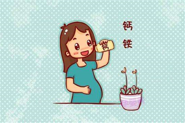 孕期需要補充什么營養 孕期營養補充迷思