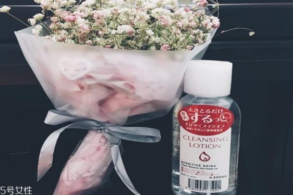 貝德瑪的平價替代 學生黨們的必備卸妝水