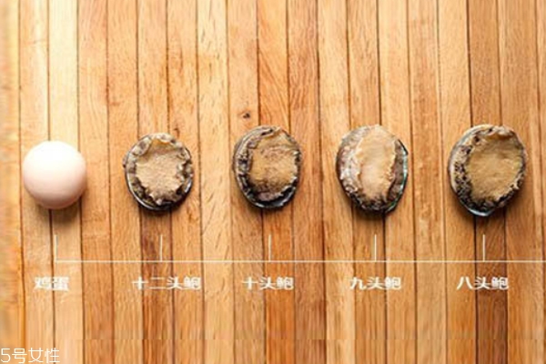 鮑魚頭數有什么好處 頭數代表質量好壞
