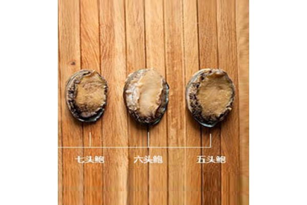 鮑魚頭數有什么好處 頭數代表質量好壞