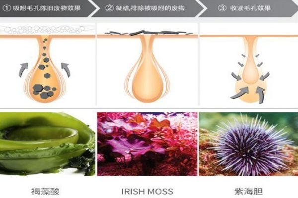 妮珍去角質慕斯好用嗎 妮珍去角質慕斯的成分