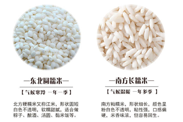 粳糯米與燦糯米的區別 粳糯米與燦糯米哪個好