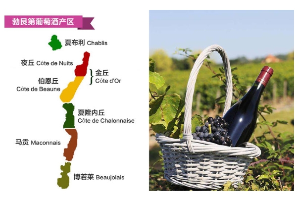 法國紅酒哪個地方的好 法國最有名3大產地