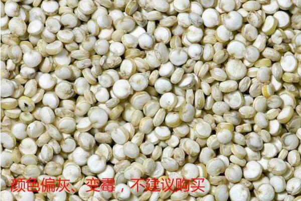 藜麥什么顏色營養最高 不同顏色營養差別并不大