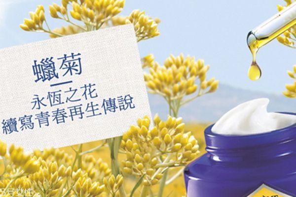歐舒丹蠟菊面膜好不好 永恒之花續寫青春再生傳說