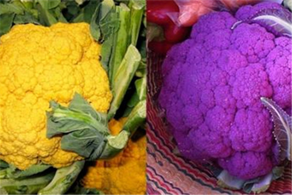 花椰菜和青花菜的區別 二者不一樣