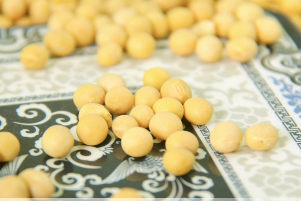 豆漿會不會上火 不用擔心這個問題